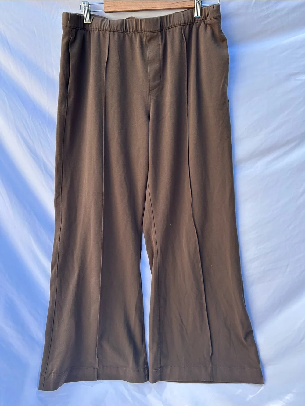 American Eagle Outfitters Brown Pull-On Pants size large NWT - Picture 2 of 12